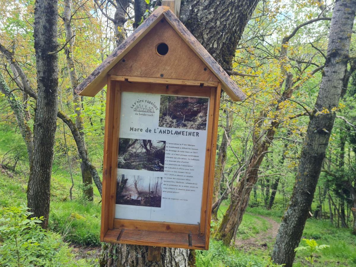 Spacieux Et Confortables Gites A Proximite Randonnees, Lacs, Ski Nature Sondernach Exterior photo