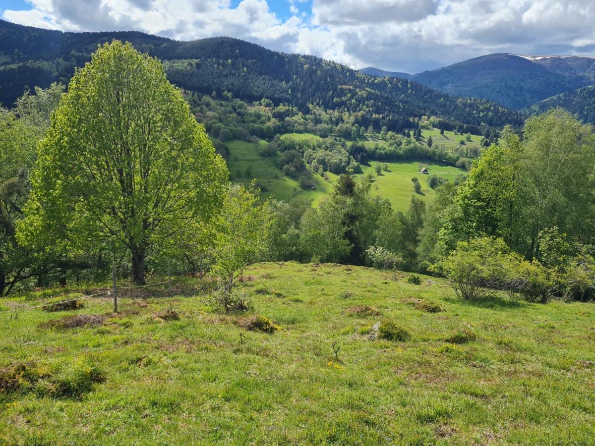 Spacieux Et Confortables Gites A Proximite Randonnees, Lacs, Ski Nature Sondernach Exterior photo