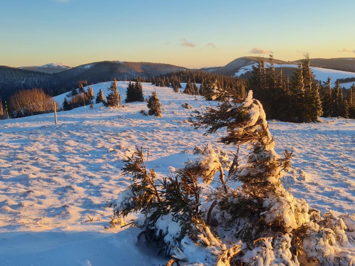 Spacieux Et Confortables Gites A Proximite Randonnees, Lacs, Ski Nature Sondernach Exterior photo
