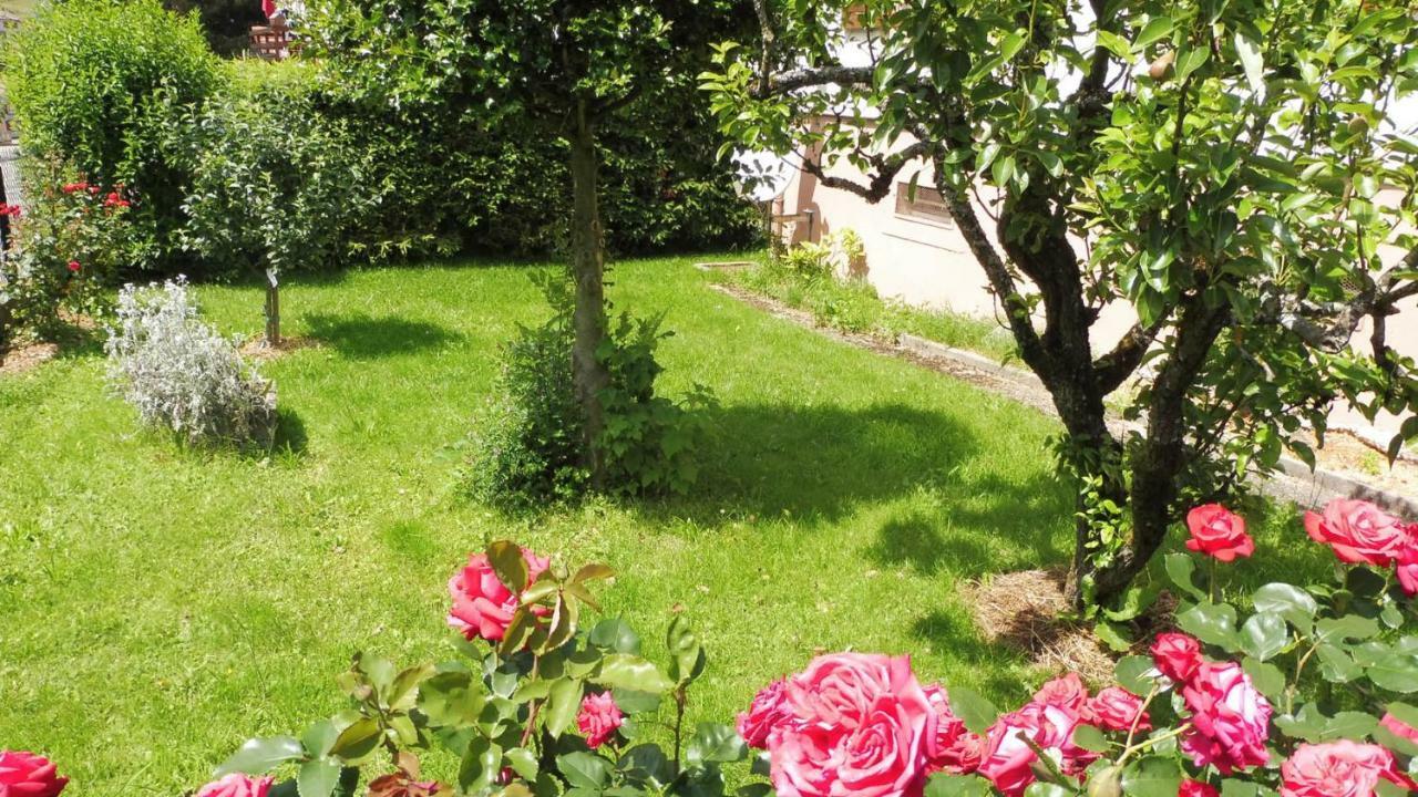 Spacieux Et Confortables Gites A Proximite Randonnees, Lacs, Ski Nature Sondernach Exterior photo