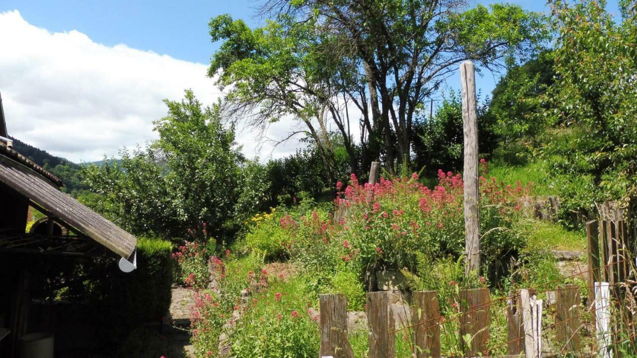 Spacieux Et Confortables Gites A Proximite Randonnees, Lacs, Ski Nature Sondernach Exterior photo