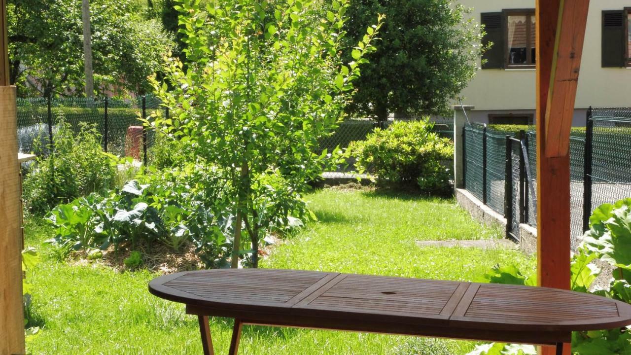 Spacieux Et Confortables Gites A Proximite Randonnees, Lacs, Ski Nature Sondernach Exterior photo