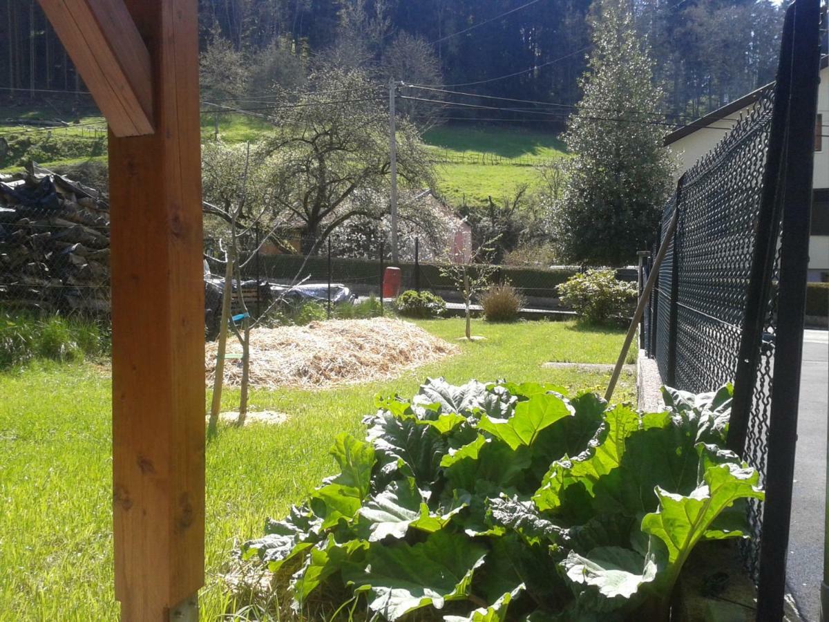 Spacieux Et Confortables Gites A Proximite Randonnees, Lacs, Ski Nature Sondernach Exterior photo