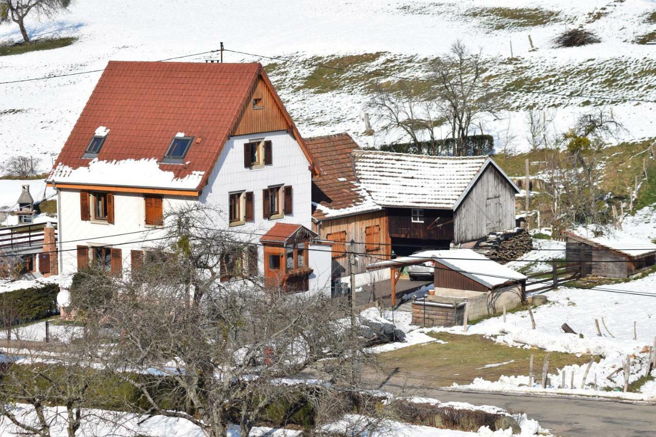 Spacieux Et Confortables Gites A Proximite Randonnees, Lacs, Ski Nature Sondernach Exterior photo