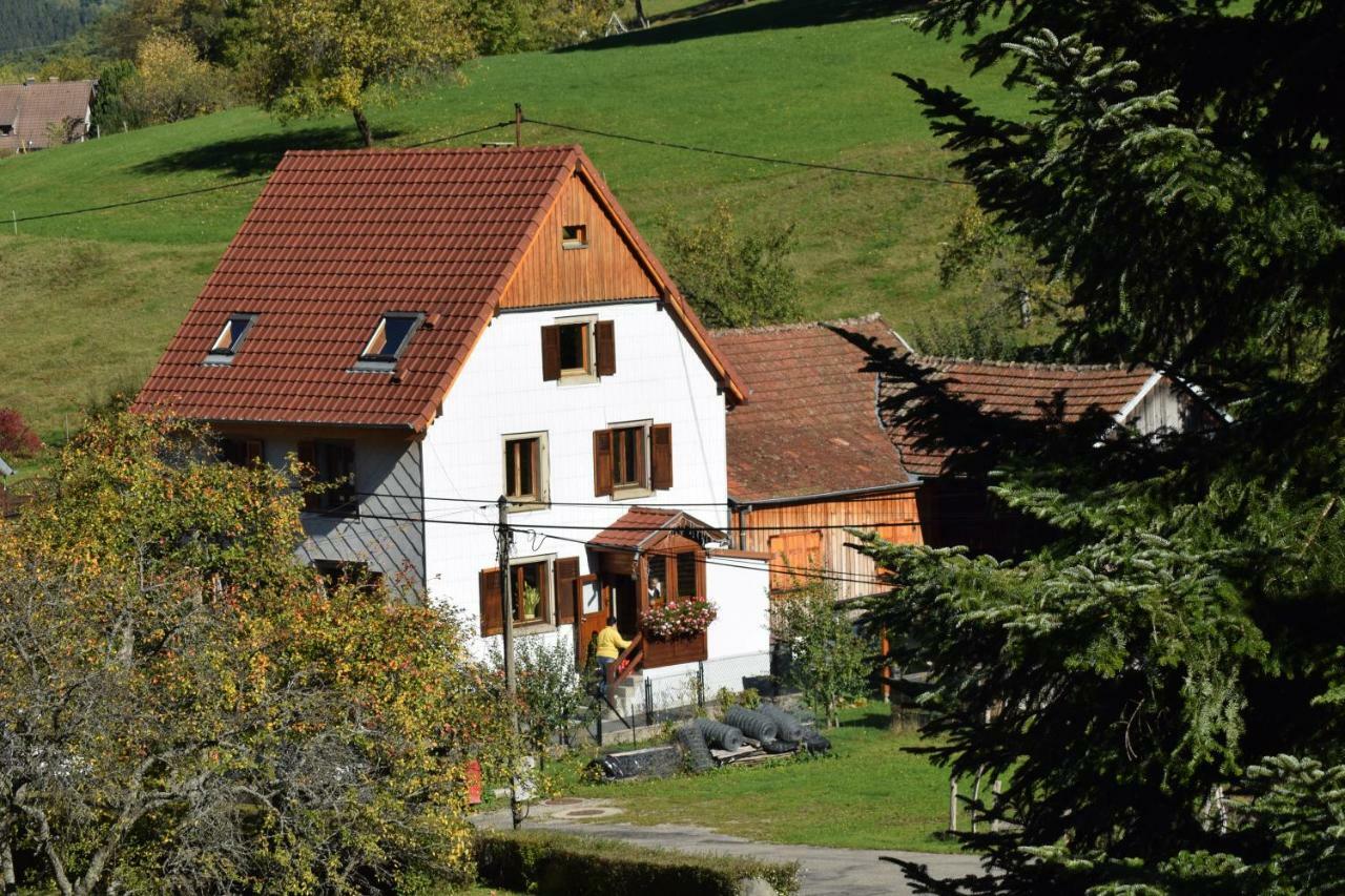 Spacieux Et Confortables Gites A Proximite Randonnees, Lacs, Ski Nature Sondernach Exterior photo