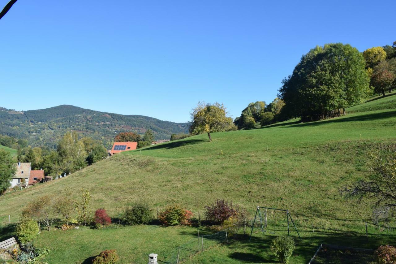Spacieux Et Confortables Gites A Proximite Randonnees, Lacs, Ski Nature Sondernach Exterior photo