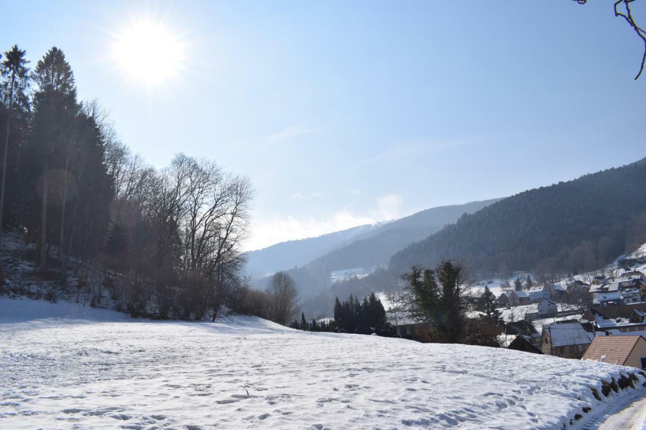 Spacieux Et Confortables Gites A Proximite Randonnees, Lacs, Ski Nature Sondernach Exterior photo
